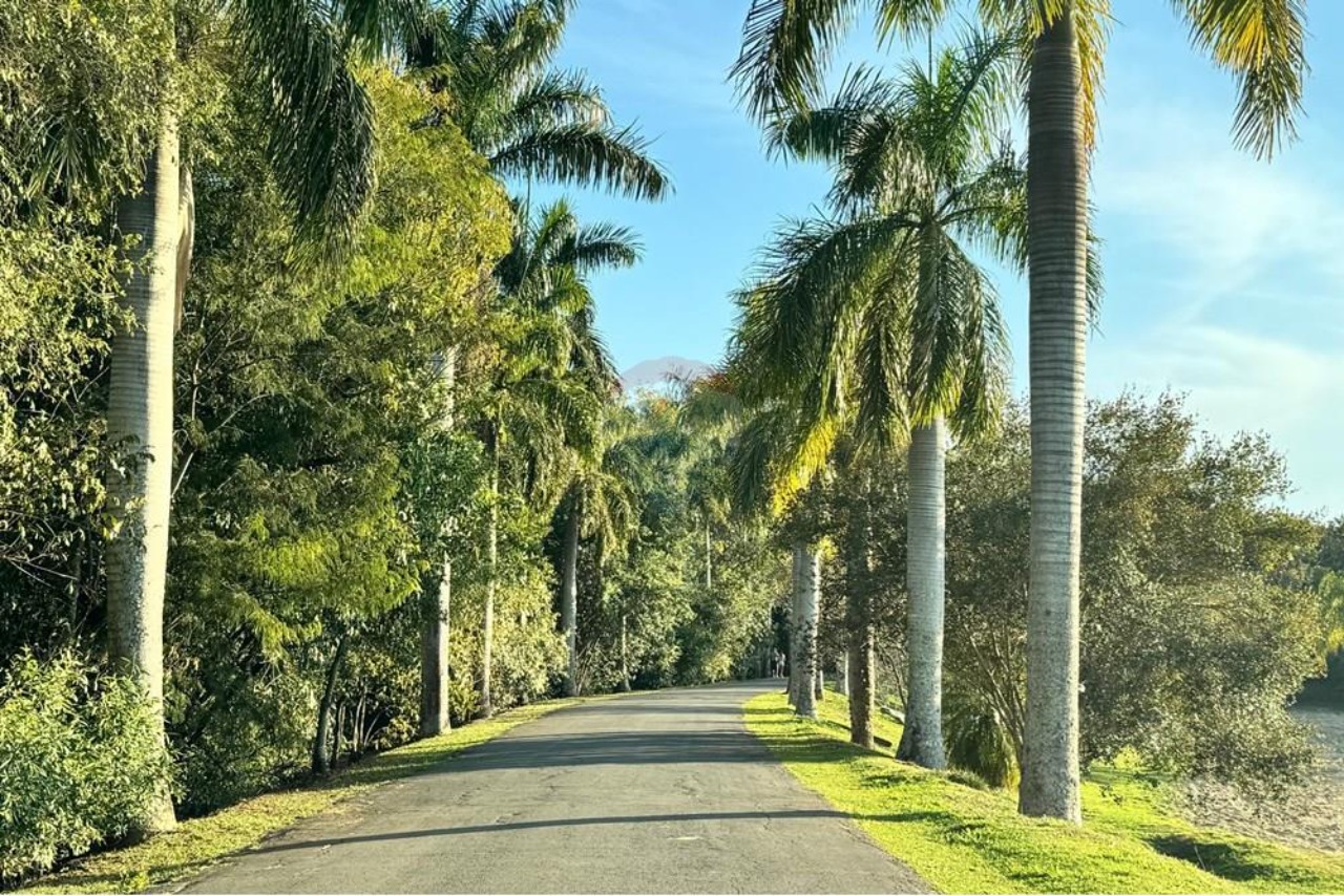 Terreno, 420 m² - Foto 8