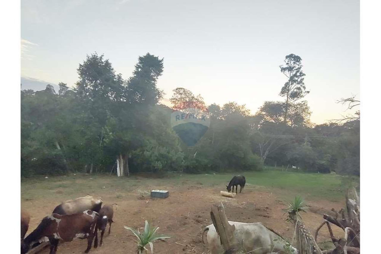 Terreno, 623 m² - Foto 5