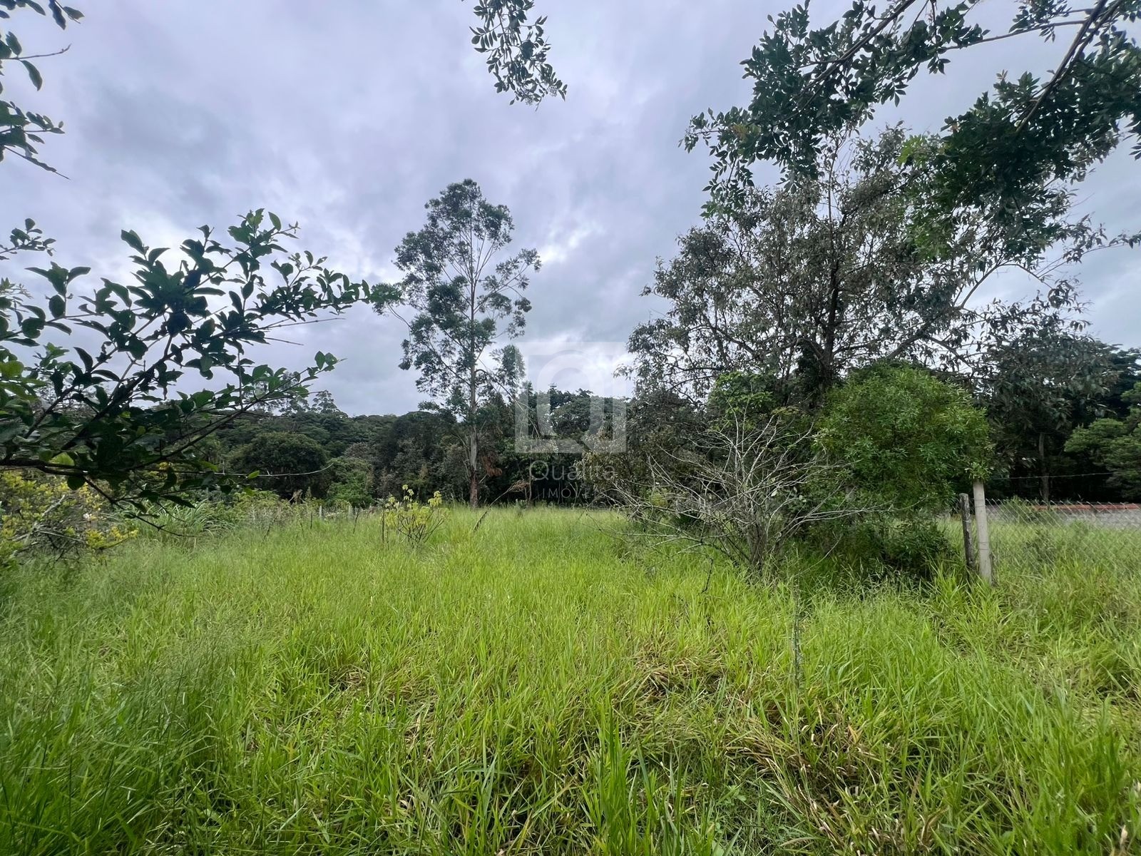 Terreno, 2269 m² - Foto 2