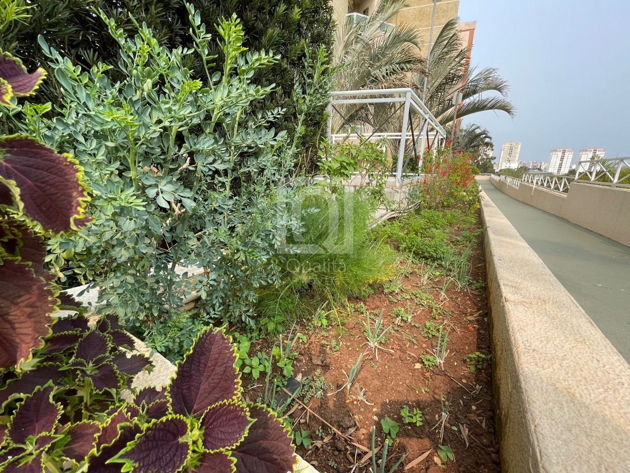 Apartamento, 2 quartos, 64 m² - Foto 25