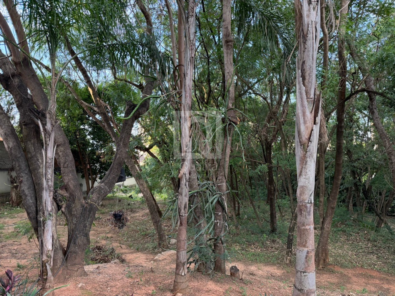 Apartamento, 2 quartos, 52 m² - Foto 10