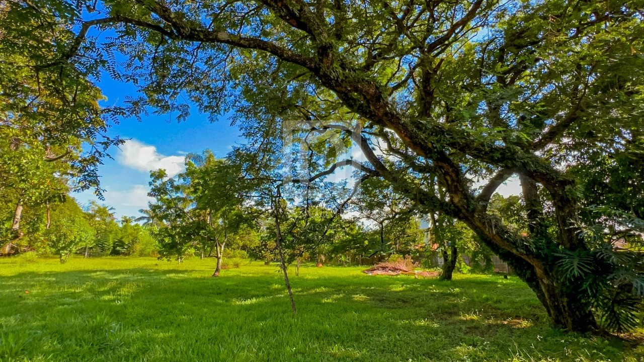 Chácara, 4 quartos, 5000 m² - Foto 26