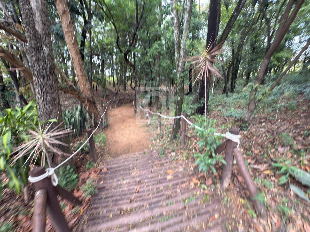 Terreno, 300 m² - Foto 12