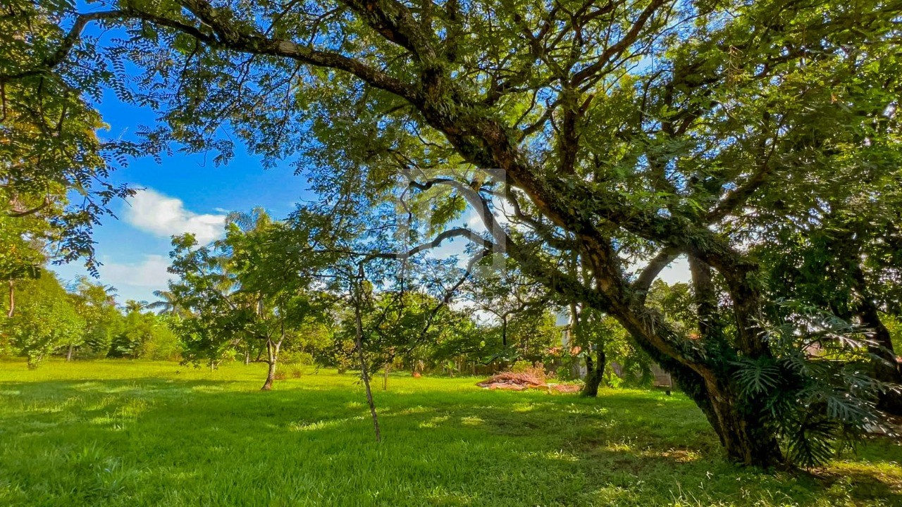 Chácara, 4 quartos, 5000 m² - Foto 28