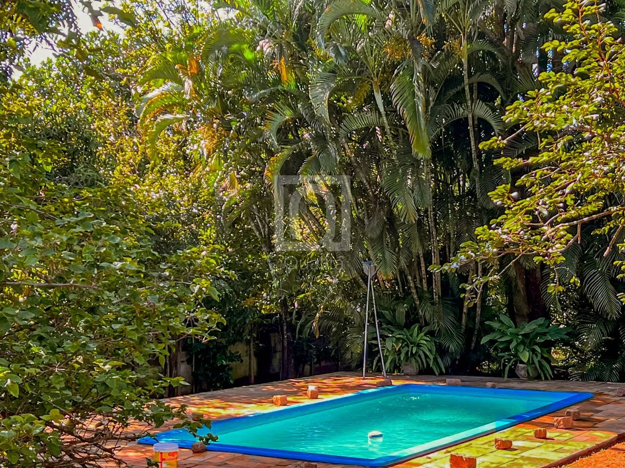 Chácara, 4 quartos, 5000 m² - Foto 4