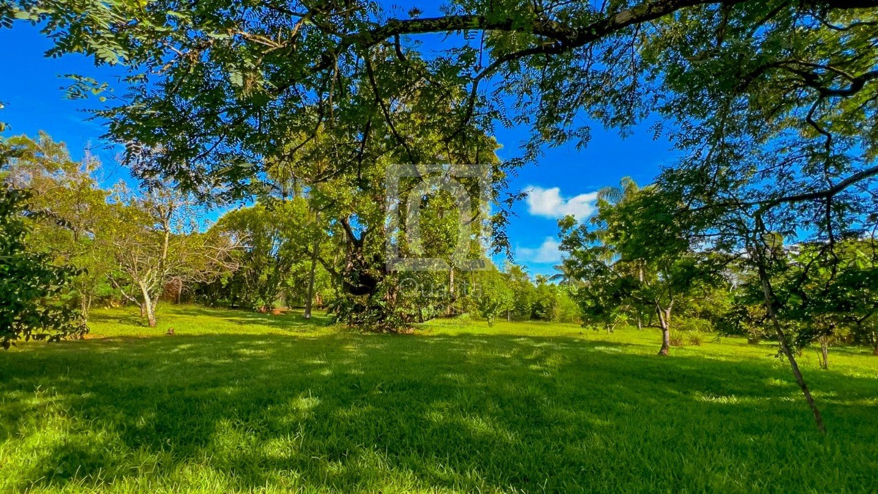 Chácara, 4 quartos, 5000 m² - Foto 29