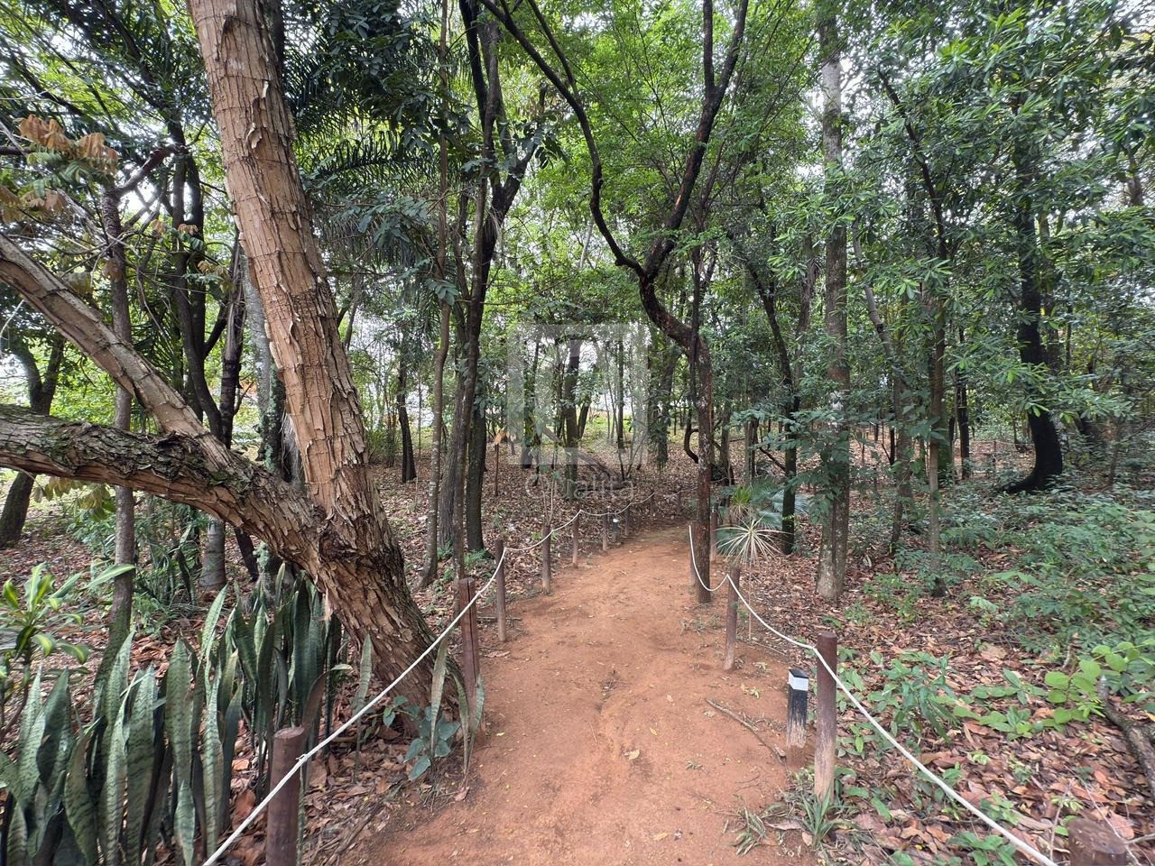 Terreno, 300 m² - Foto 2