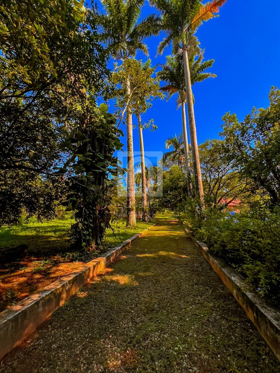 Chácara, 4 quartos, 5000 m² - Foto 5