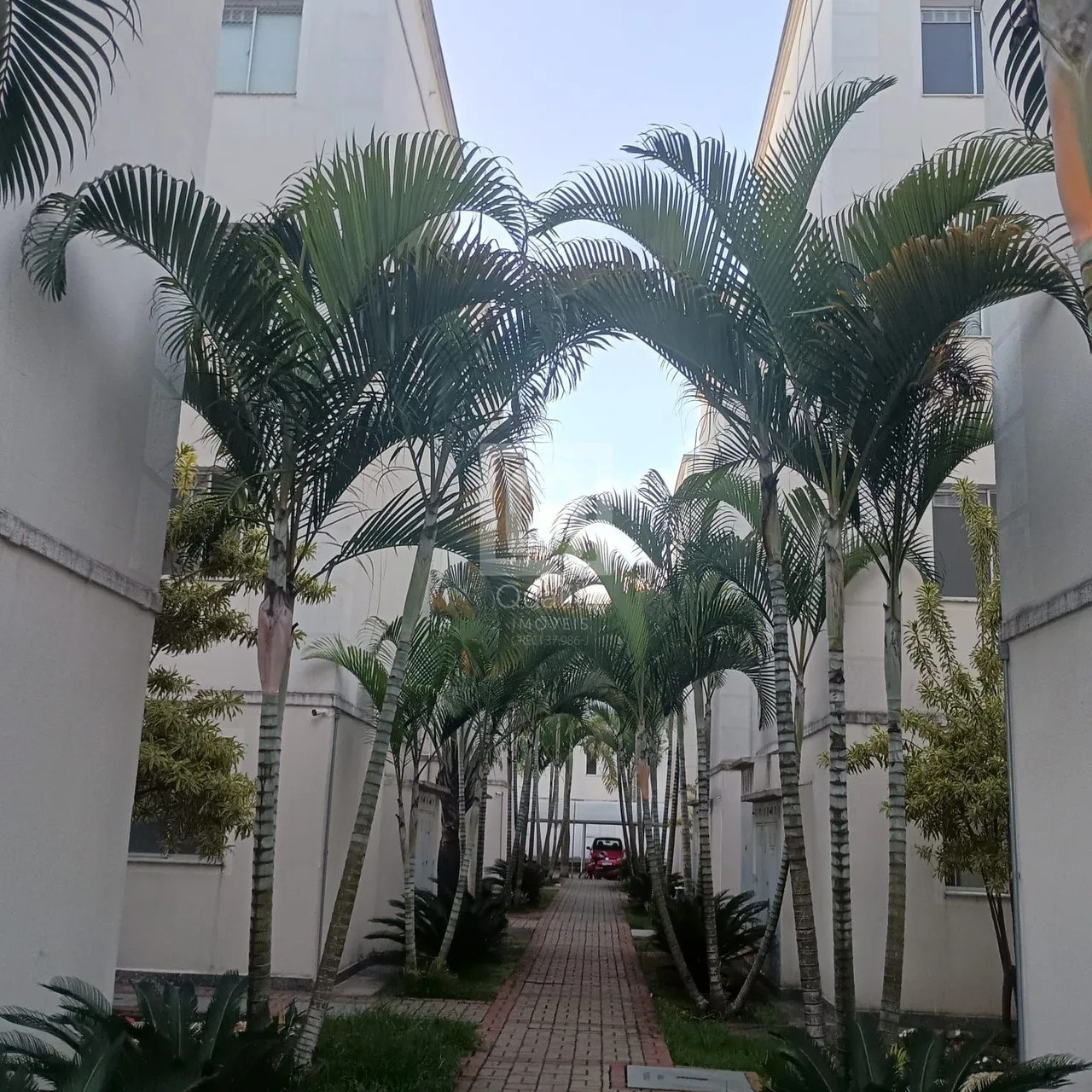 Apartamento, 2 quartos, 50 m² - Foto 2