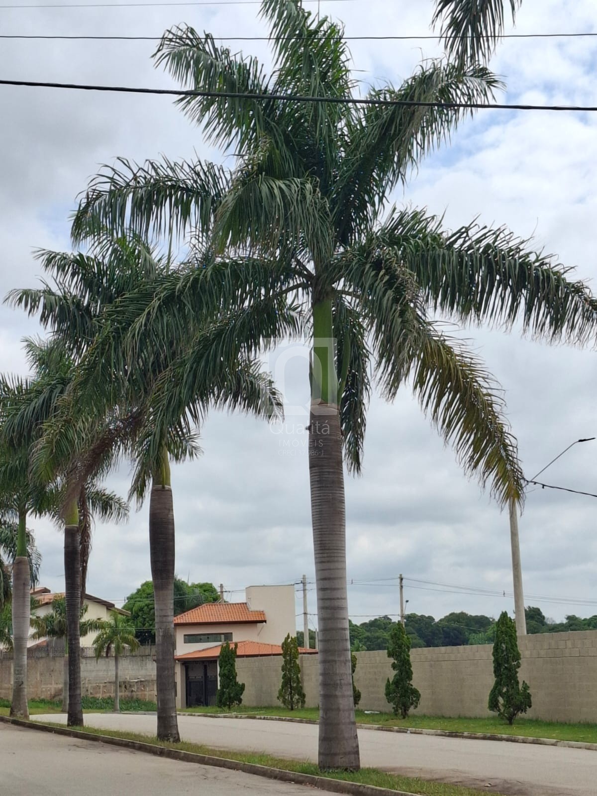 Terreno, 250 m² - Foto 5