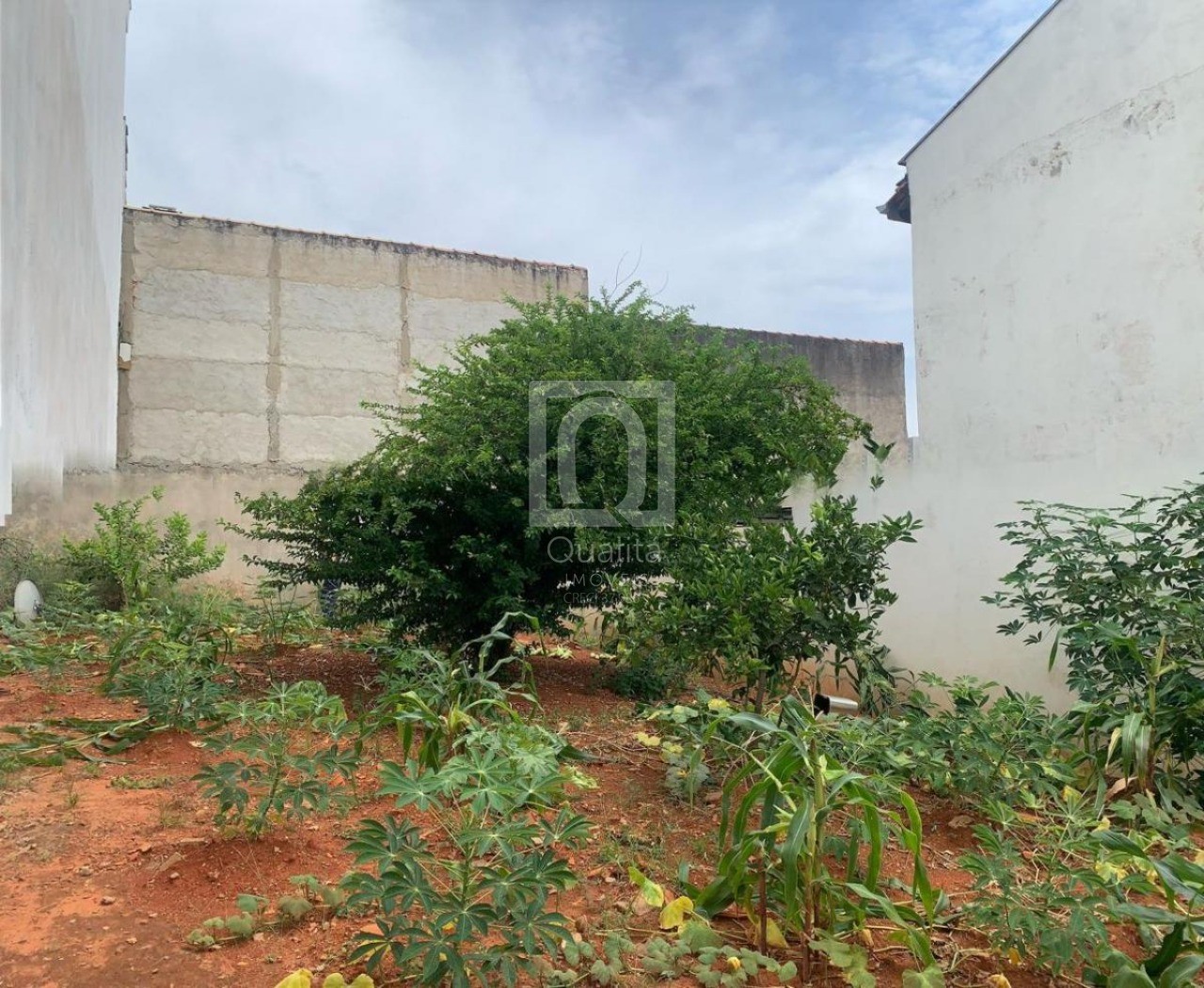 Terreno - Foto 1