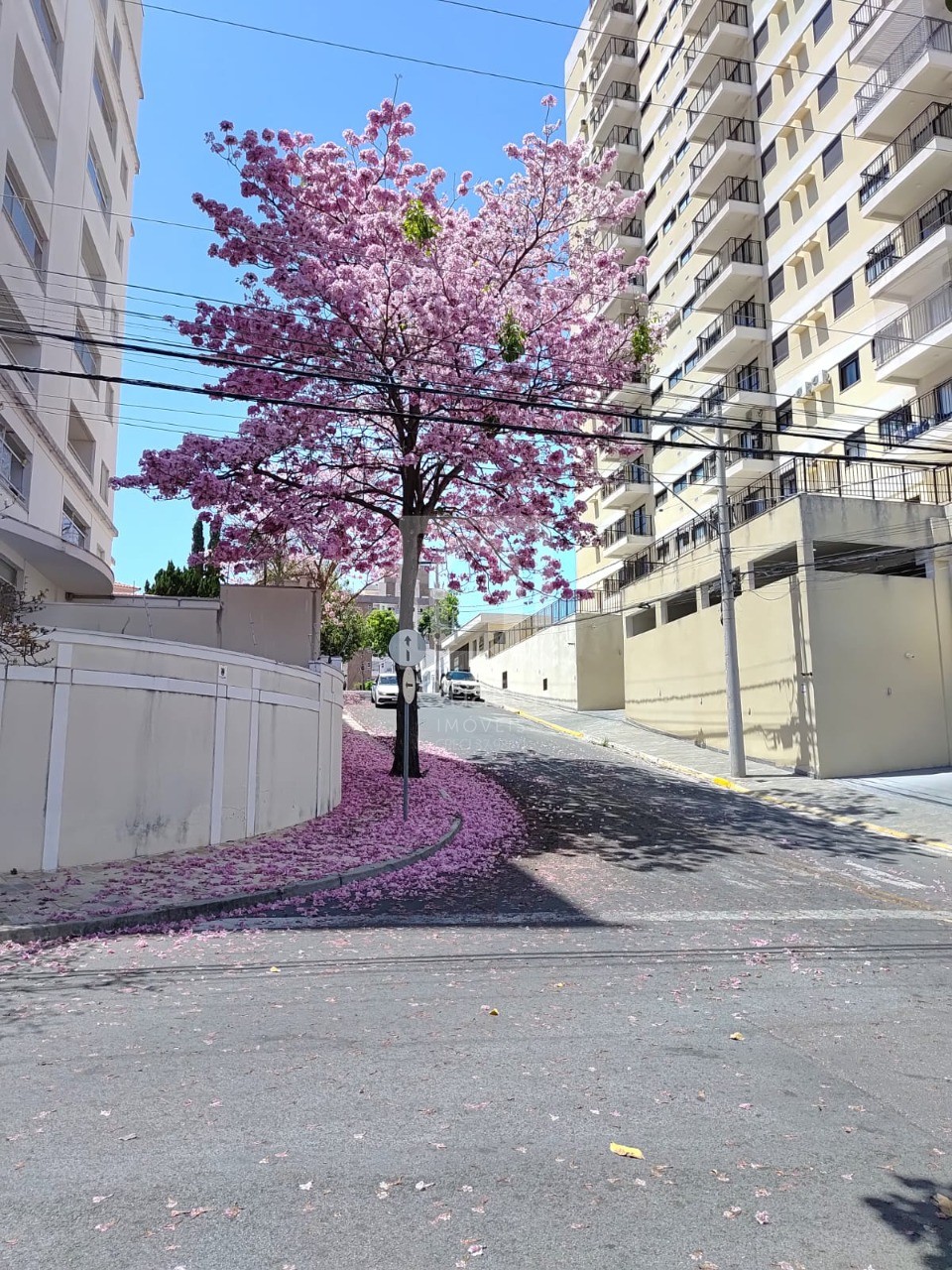 Apartamento, 3 quartos, 101 m² - Foto 16