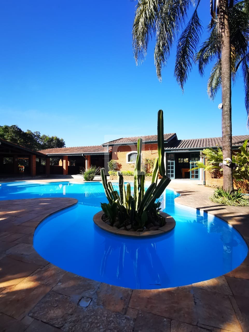 Sítio, 12 quartos, 3 hectares - Foto 48