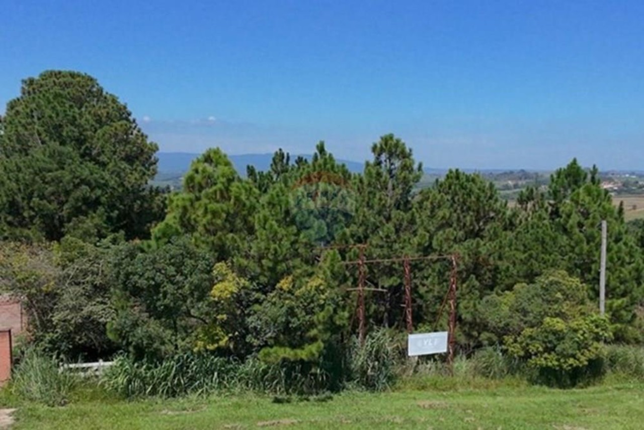 Terreno, 142086 m² - Foto 12