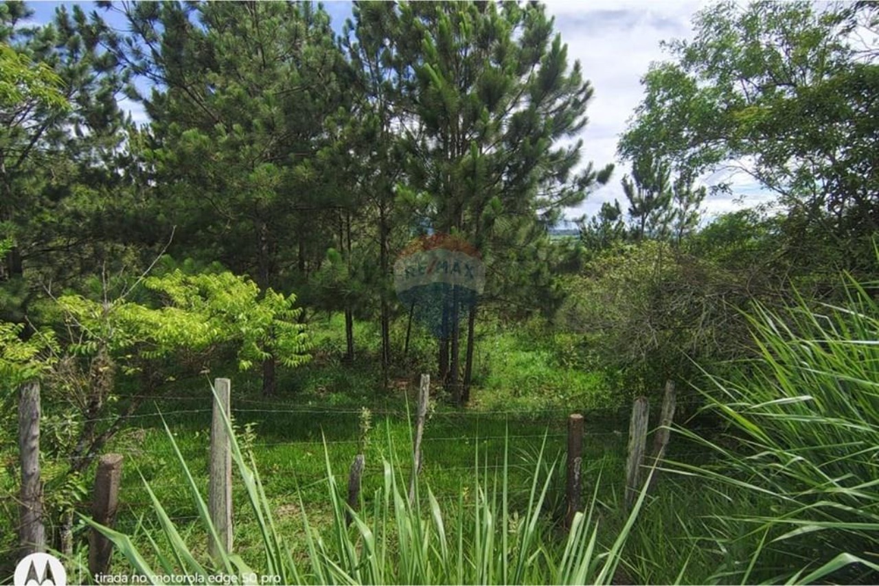 Terreno, 142086 m² - Foto 6