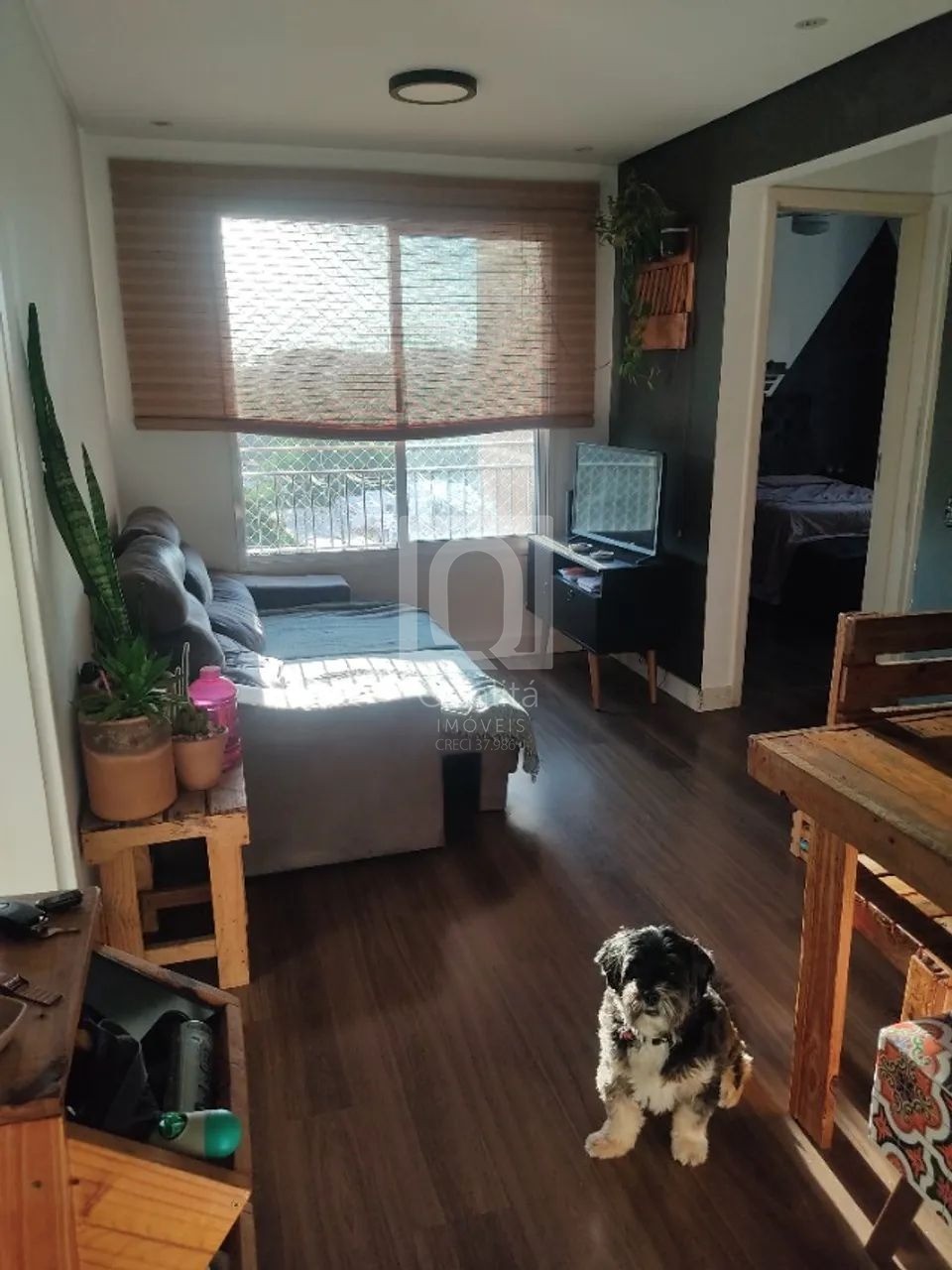 Apartamento, 2 quartos, 46 m² - Foto 2