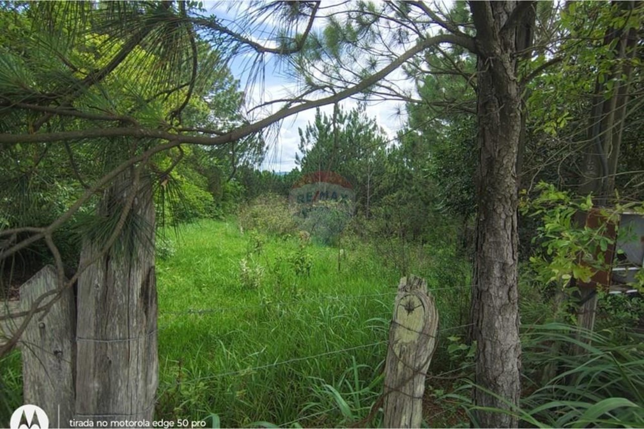 Terreno, 142086 m² - Foto 8