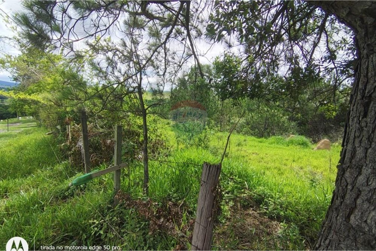 Terreno, 142086 m² - Foto 4
