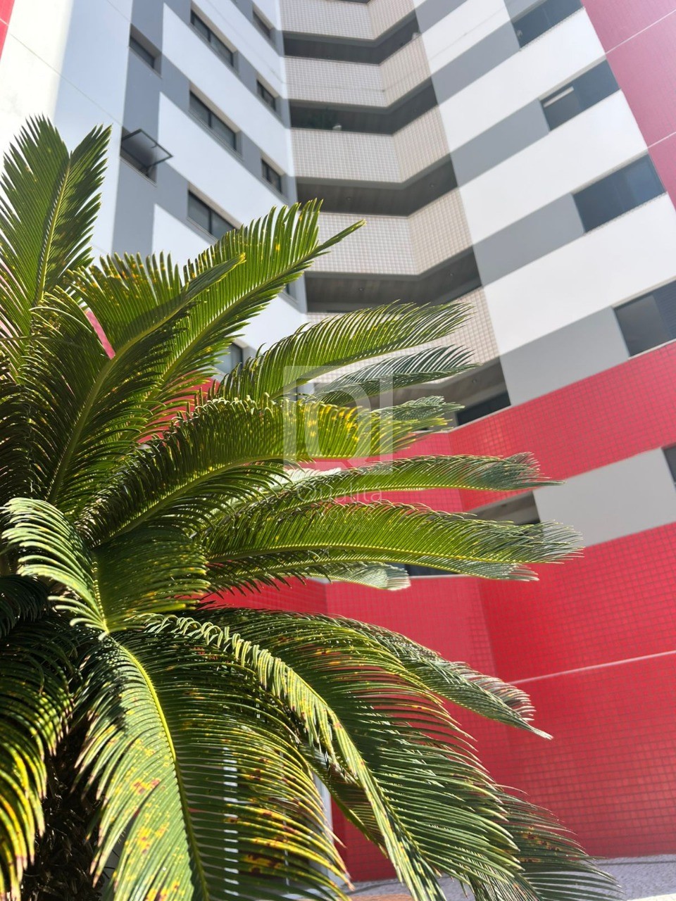 Apartamento, 3 quartos, 91 m² - Foto 26