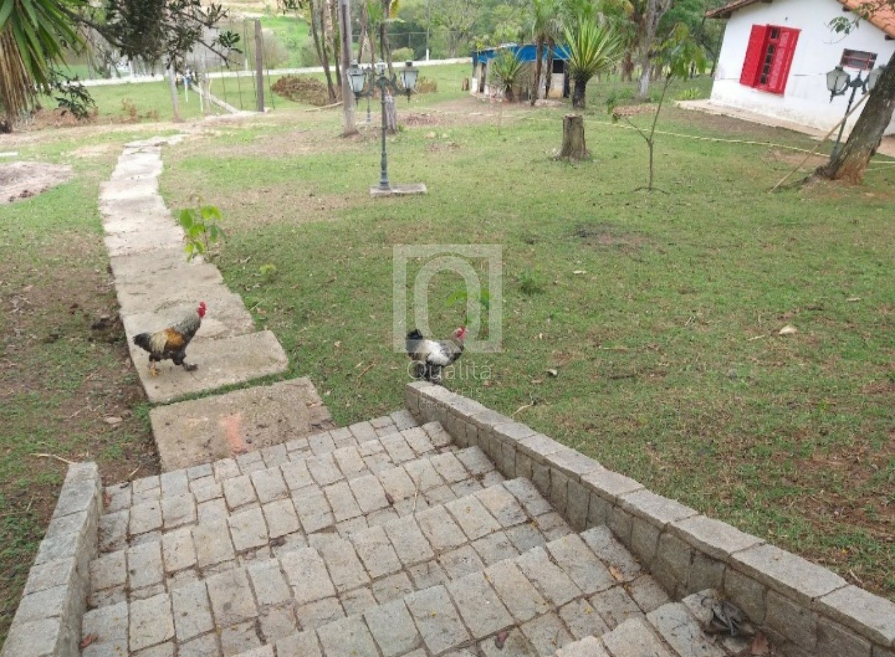 Chácara, 2 quartos, 2 hectares - Foto 14