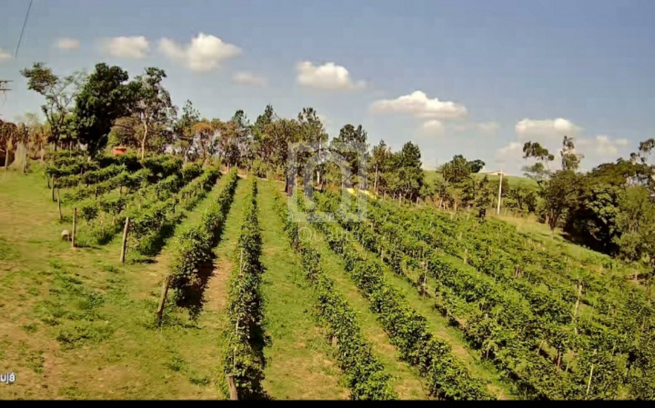 Chácara, 2 quartos, 2 hectares - Foto 12