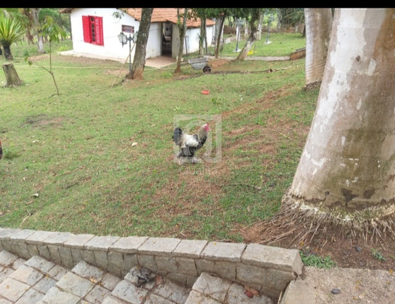 Chácara, 2 quartos, 2 hectares - Foto 24