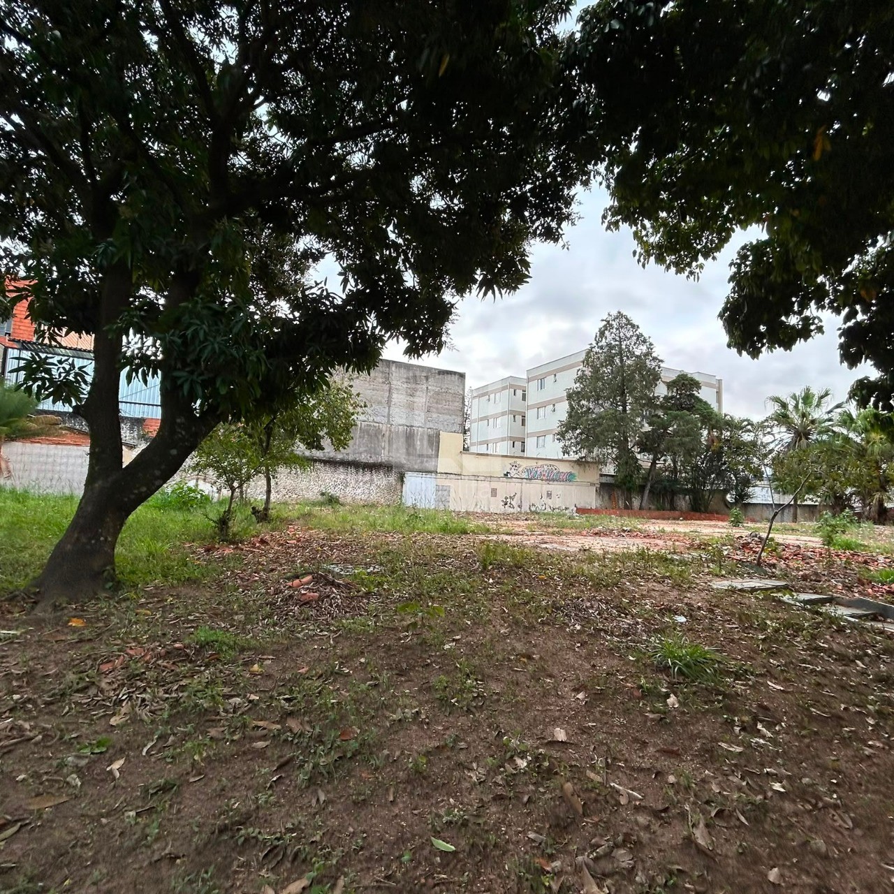 Terreno, 1224 m² - Foto 2