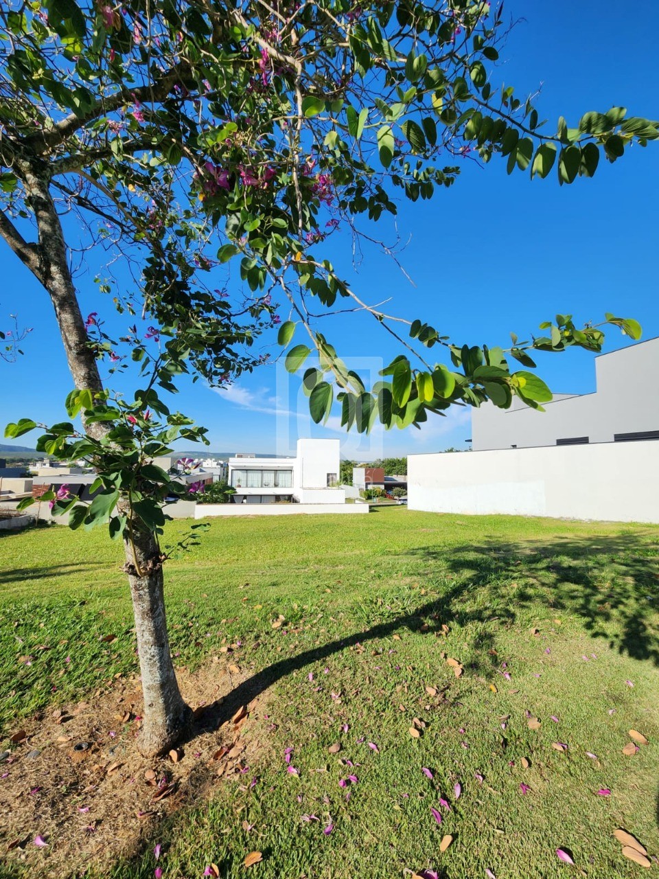 Terreno, 465 m² - Foto 2