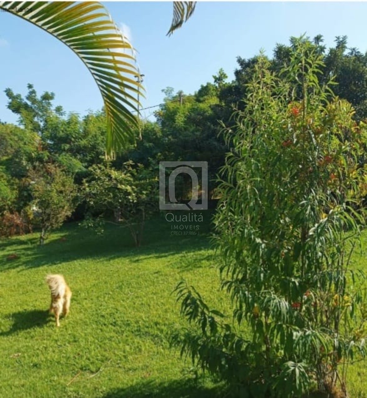 Terreno, 1000 m² - Foto 4