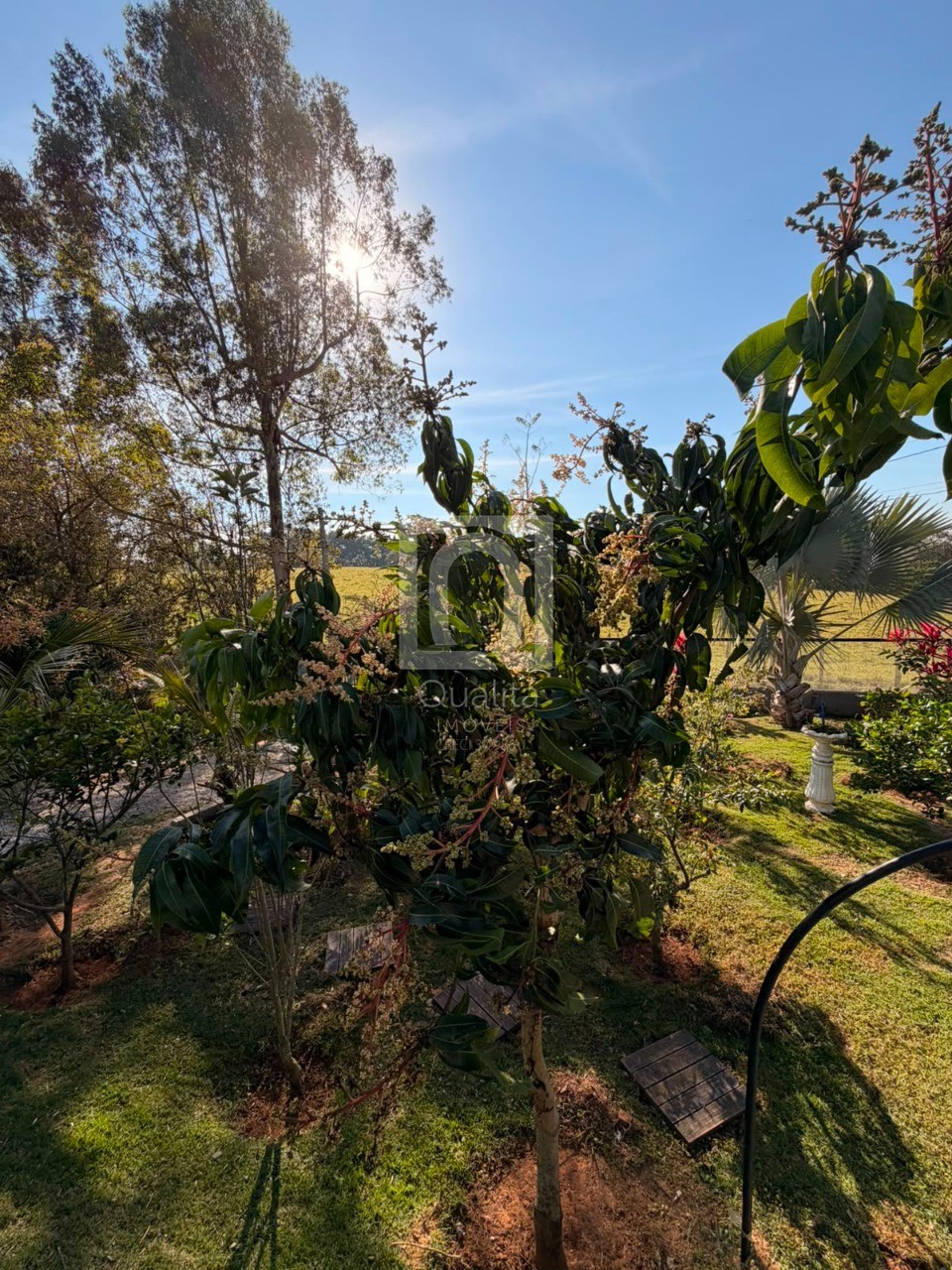 Sítio, 2 quartos, 1000 m² - Foto 39