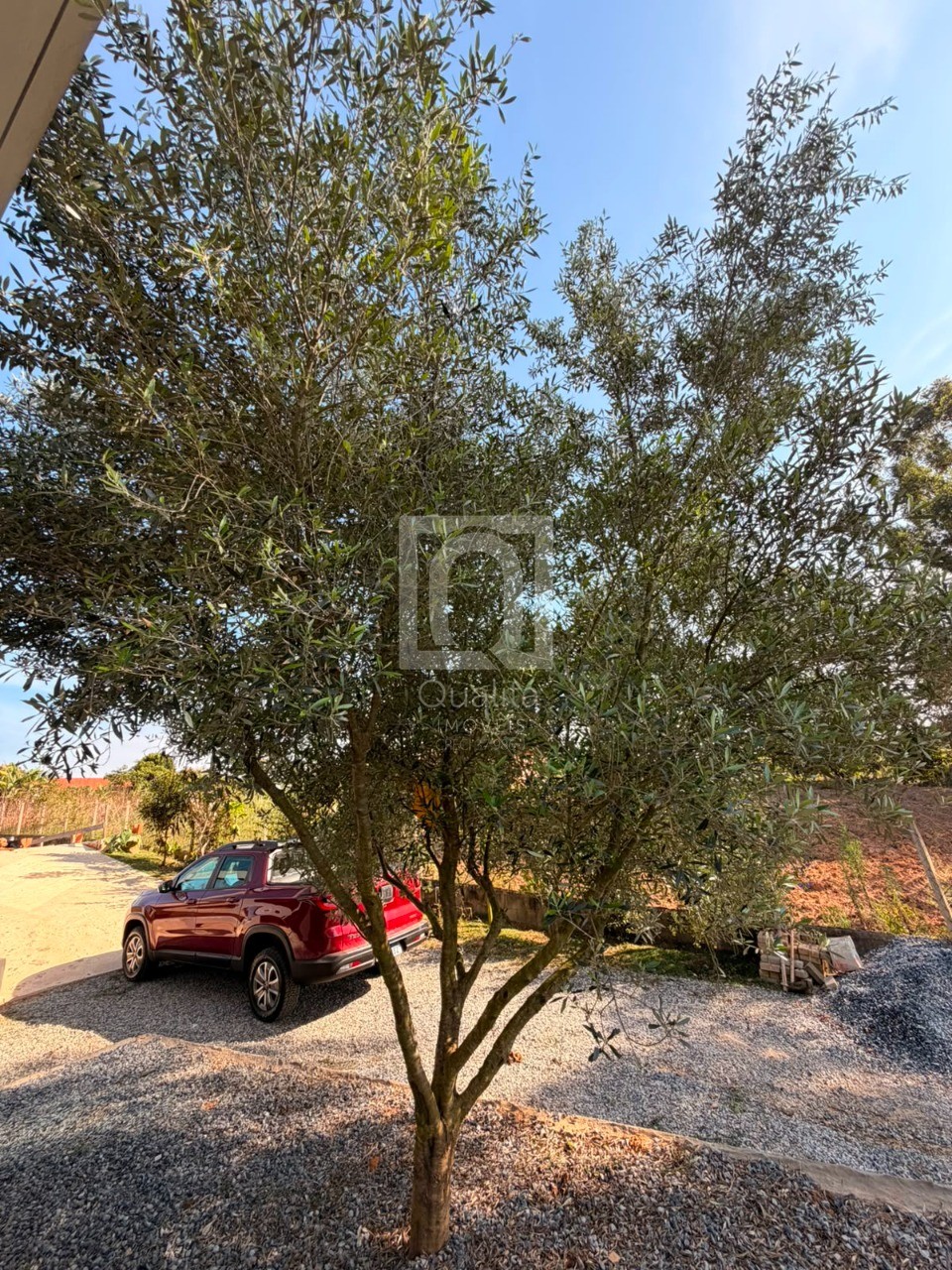 Sítio, 2 quartos, 1000 m² - Foto 37