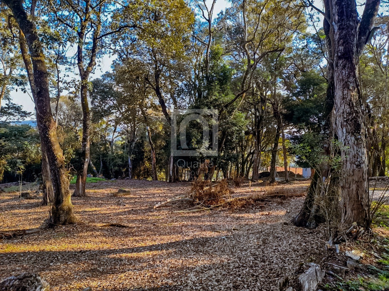 Terreno, 1800 m² - Foto 3