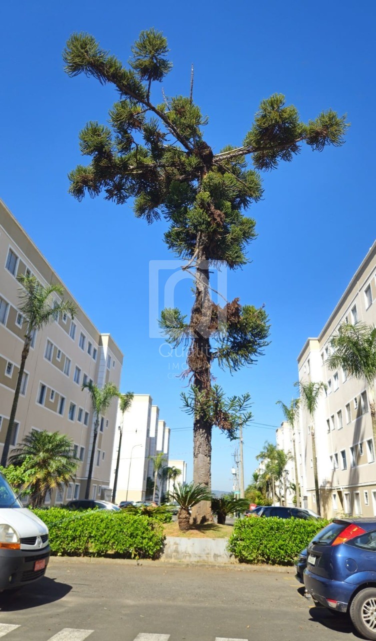 Apartamento, 2 quartos, 47 m² - Foto 12
