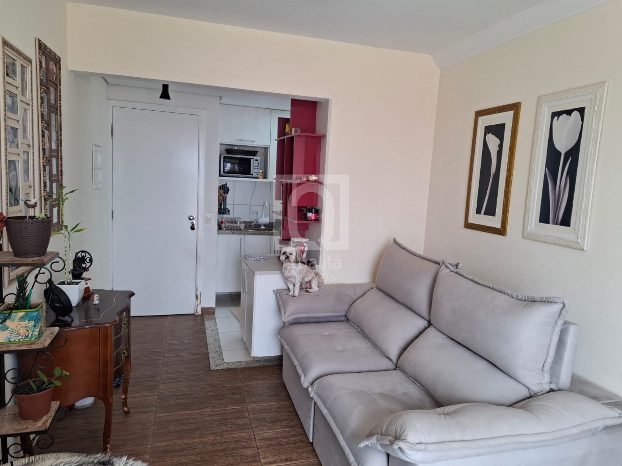 Apartamento, 2 quartos, 47 m² - Foto 1