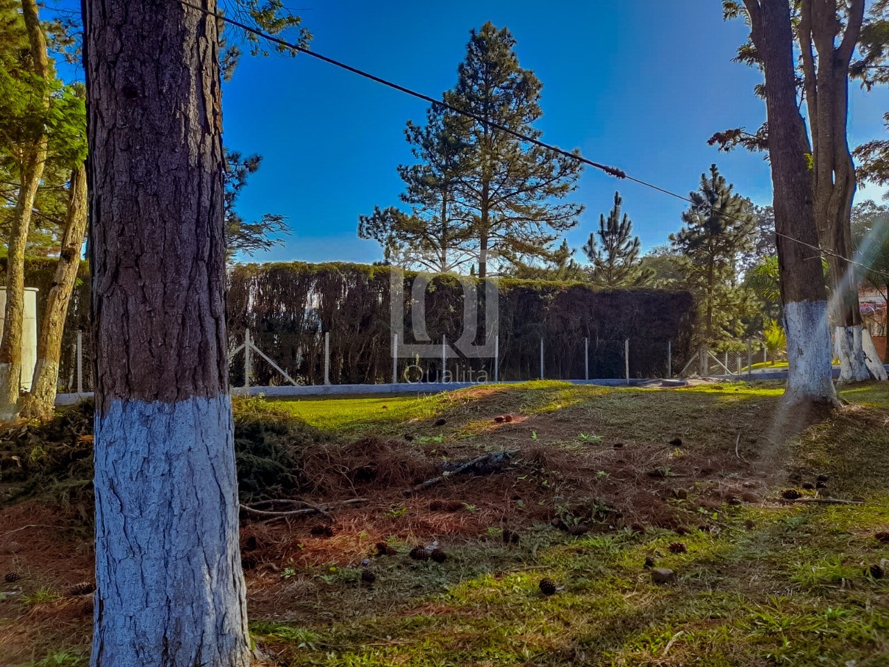 Terreno, 2078 m² - Foto 5