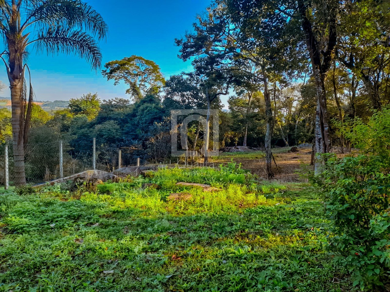 Terreno, 1800 m² - Foto 6