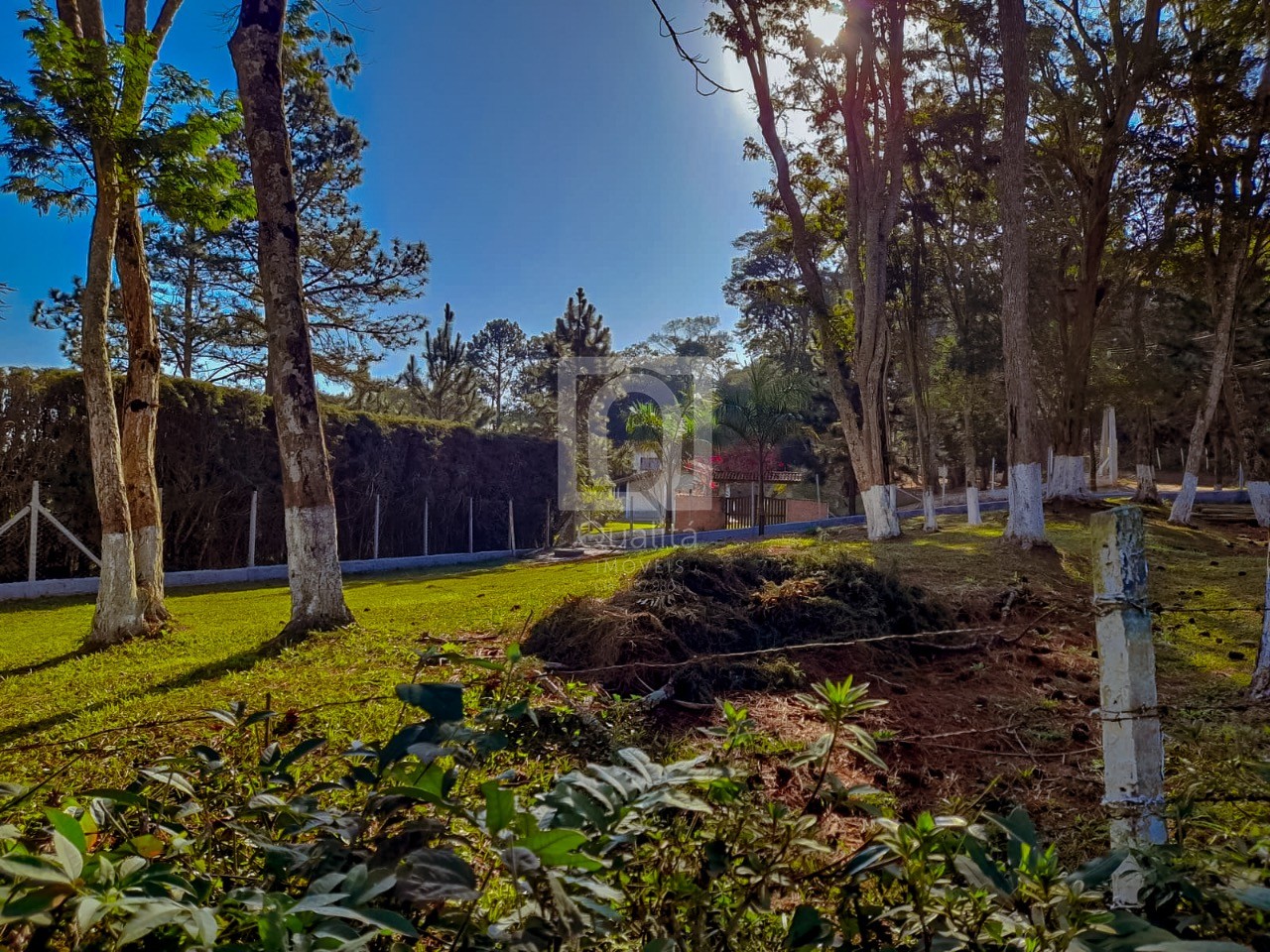 Terreno, 2078 m² - Foto 13