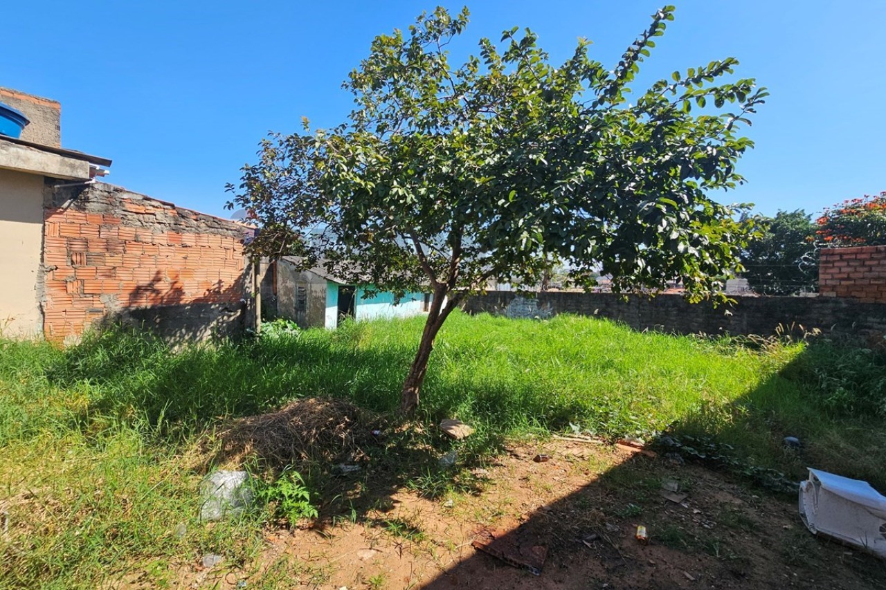 Terreno, 650 m² - Foto 6