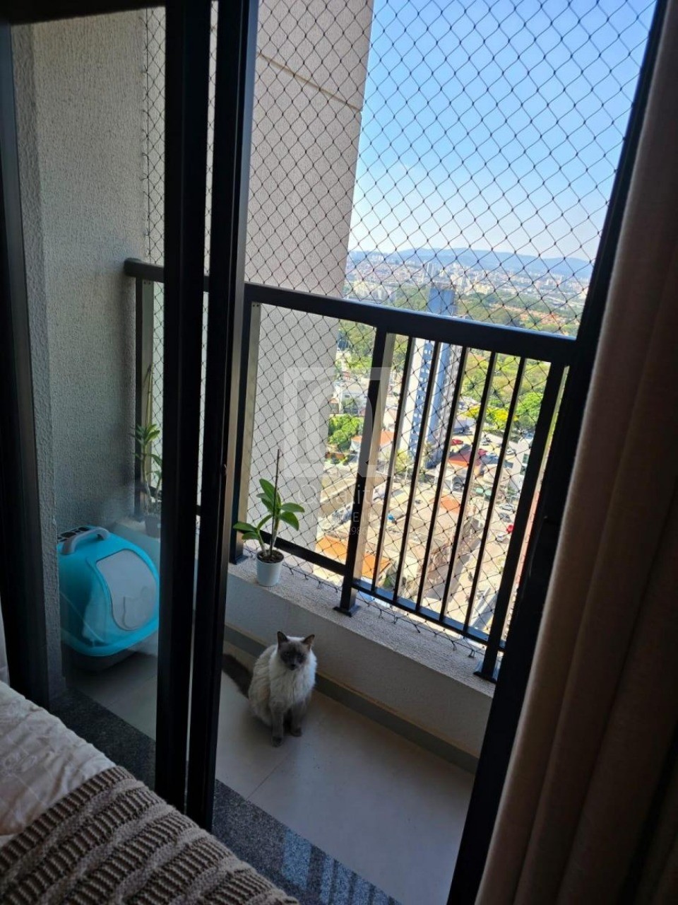 Apartamento, 2 quartos, 53 m² - Foto 6