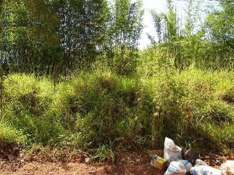 terreno em CAXAMBU