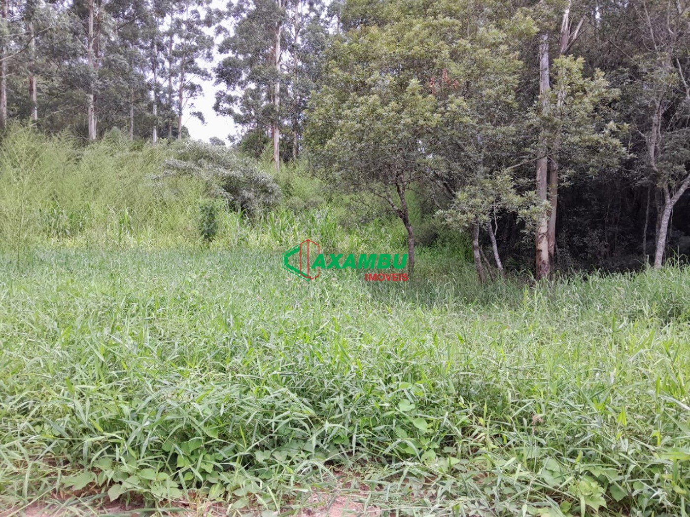 Chácara em CAXAMBU, JUNDIAÍ - Foto 44