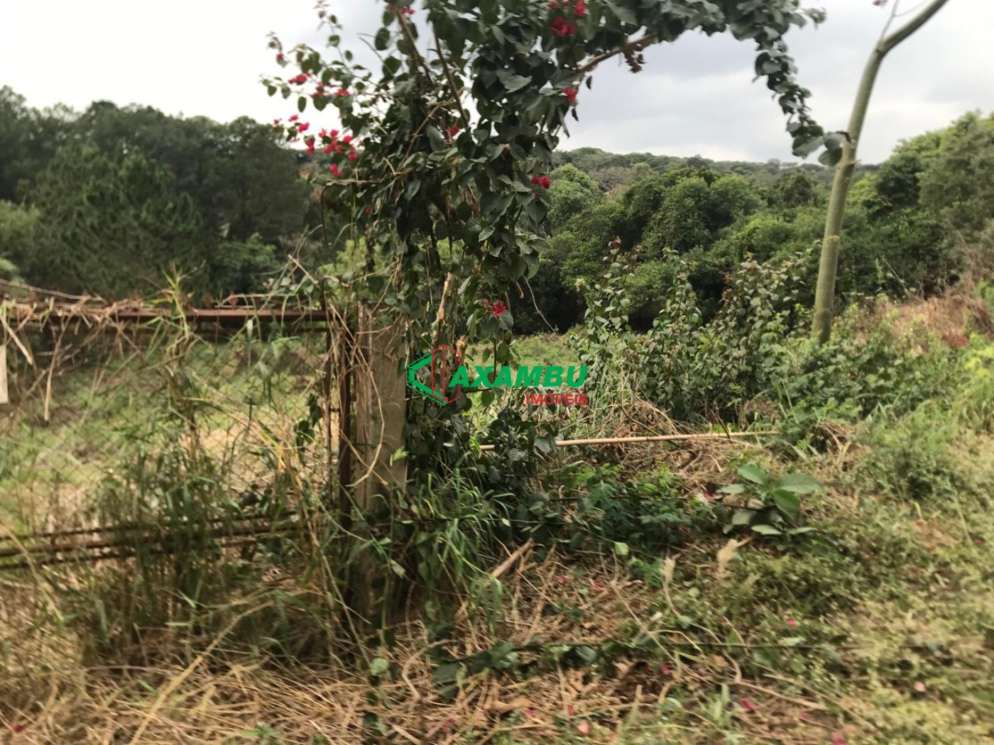 Foto Destaque