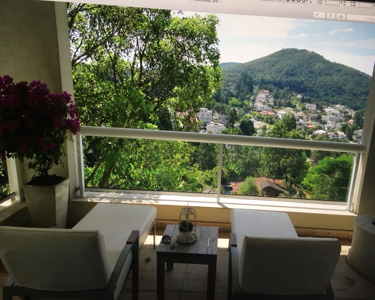 Casa, 4 quartos, 1054 m² - Foto 6