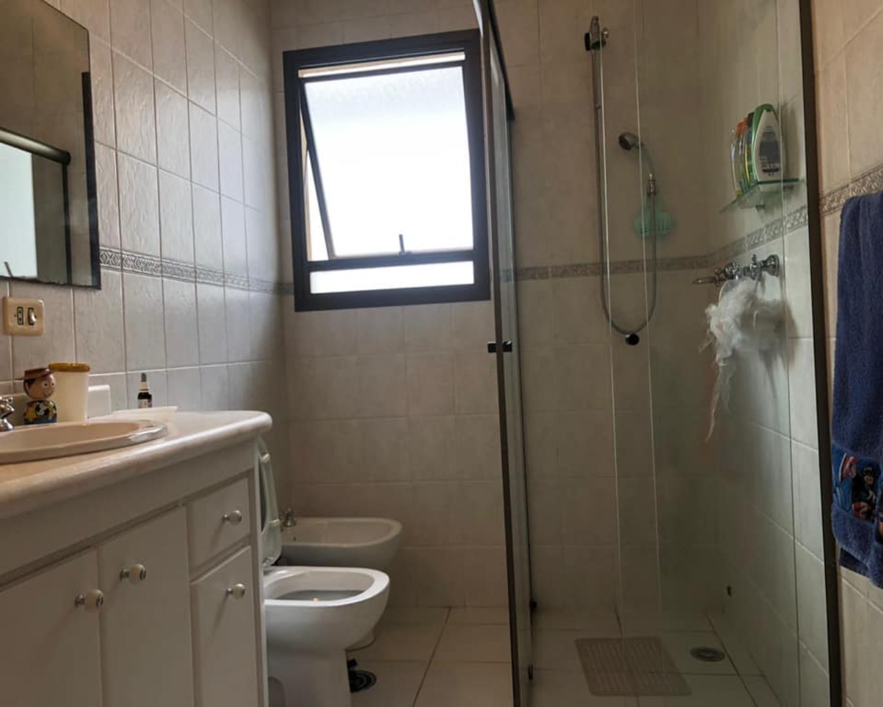 Casa, 4 quartos, 556 m² - Foto 15