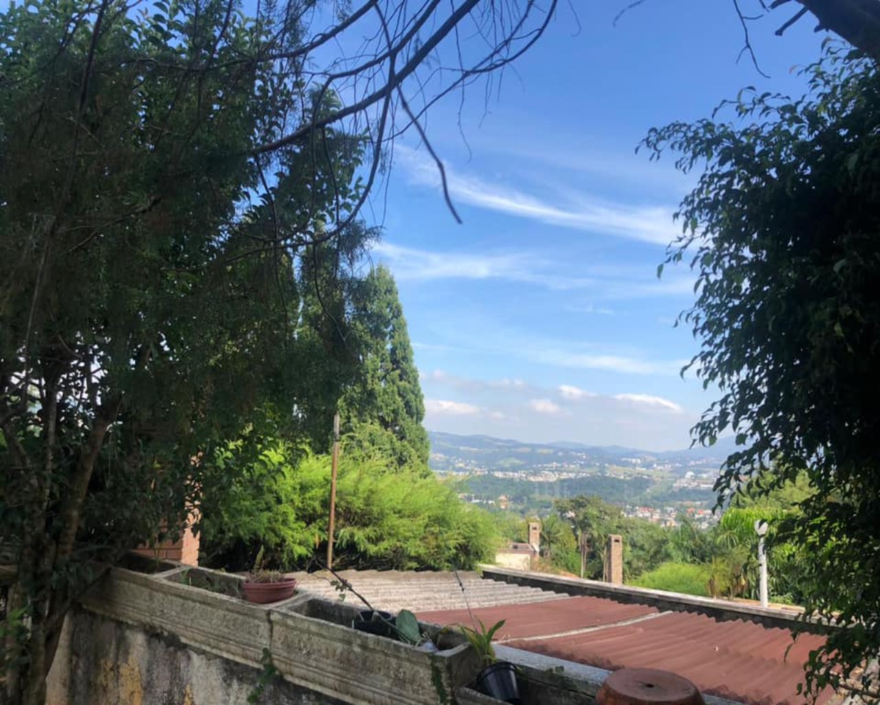 Casa, 4 quartos, 556 m² - Foto 23
