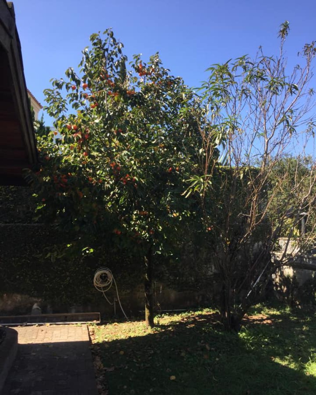 Casa, 4 quartos, 556 m² - Foto 42