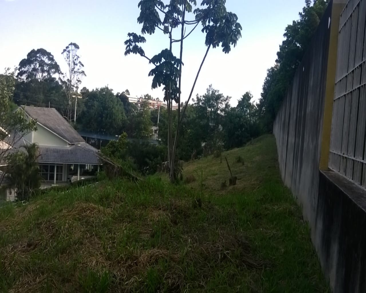 Terreno, 2018 m² - Foto 10