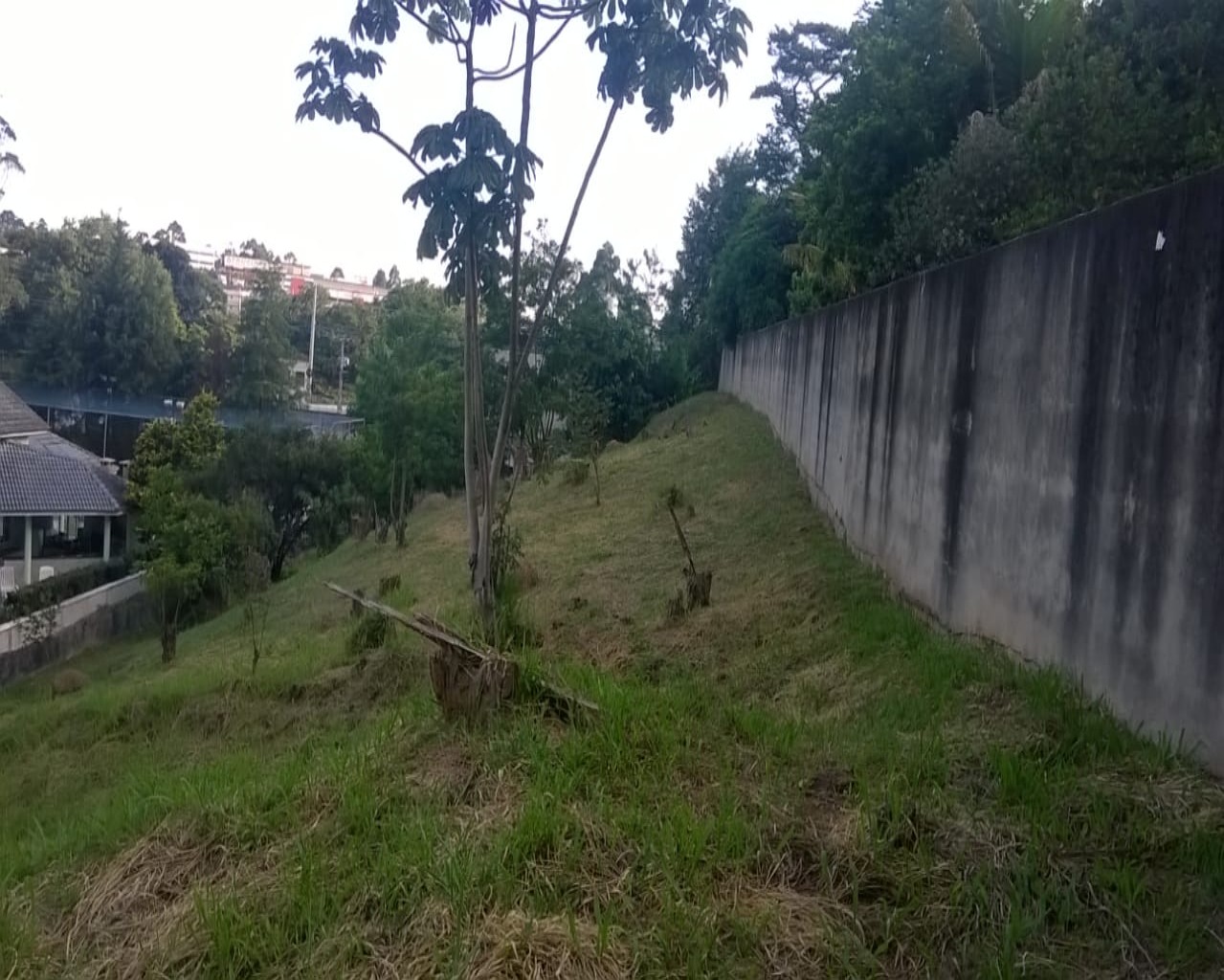 Terreno, 2018 m² - Foto 11