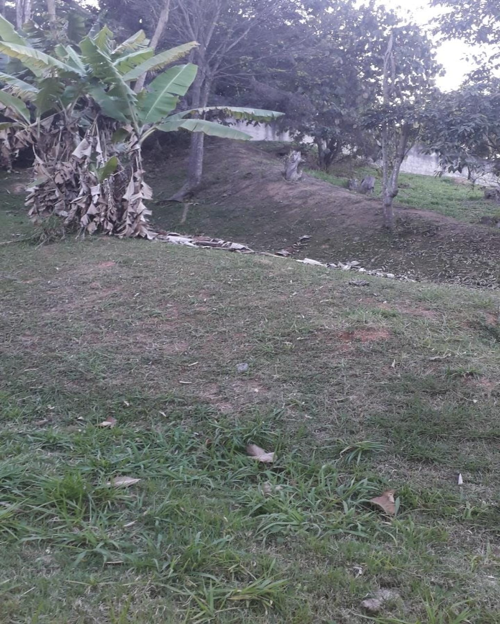 Terreno, 2018 m² - Foto 6