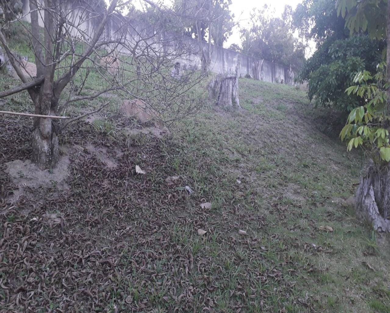 Terreno, 2018 m² - Foto 12